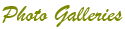 Photo Galleries